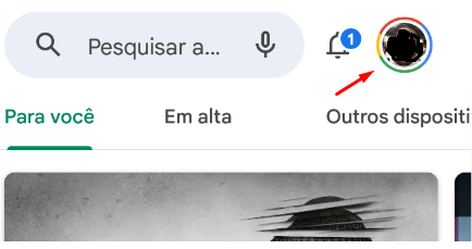 Perfil Play Store