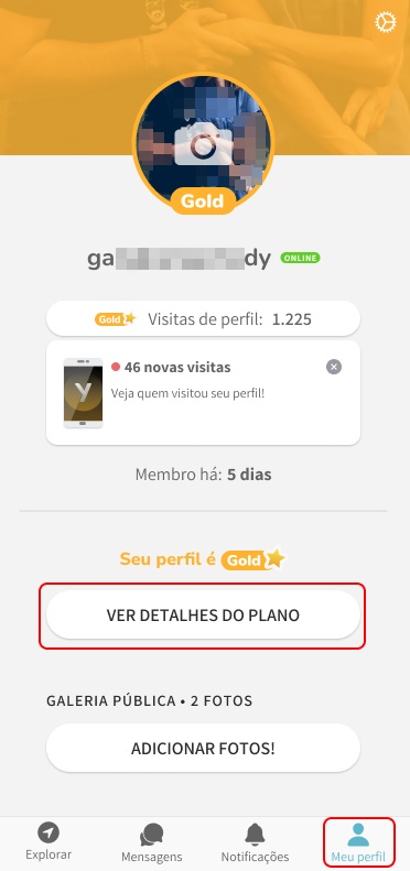 Acesso às configurações do plano GOLD