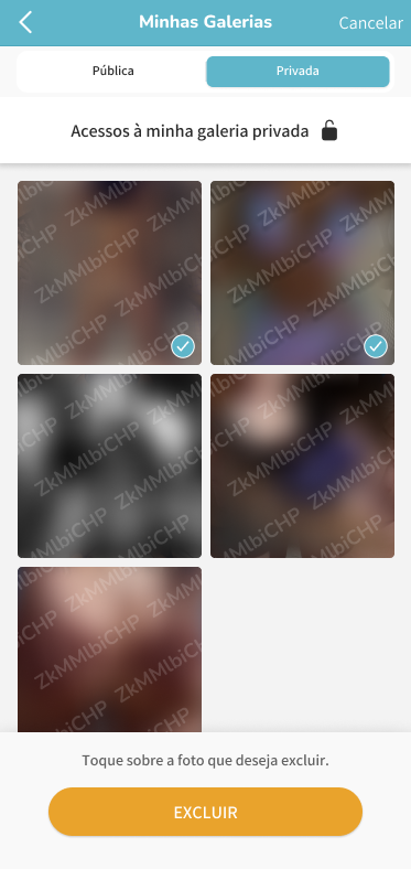 Excluir fotos