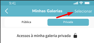 Seleccionar galería