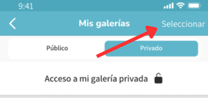 Seleccionar galería