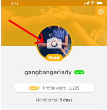 Camera icon on profile picture