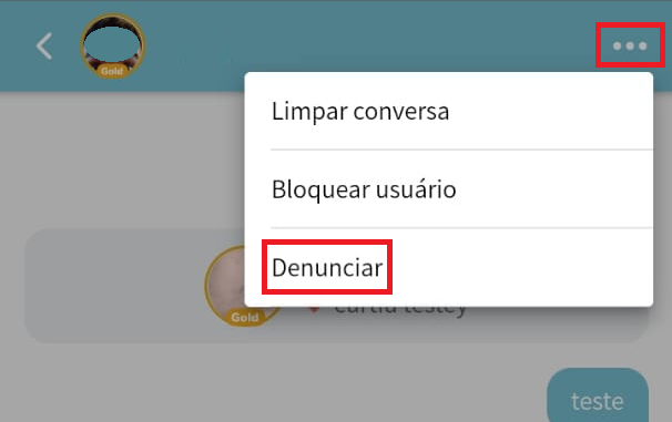 Menu de denúncia no chat